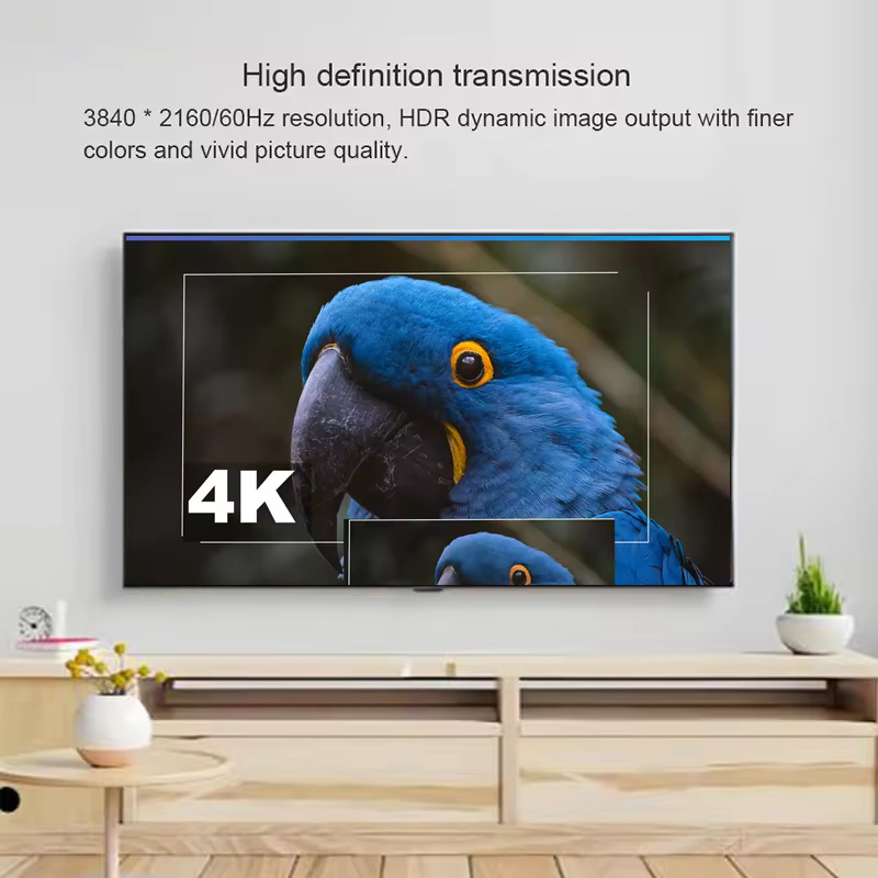 Extender DisplayPort a HDMI 4K - Hdmi Cable recensione e prezzo